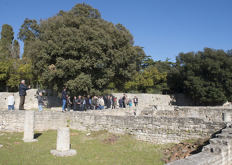 DSC8022.jpg